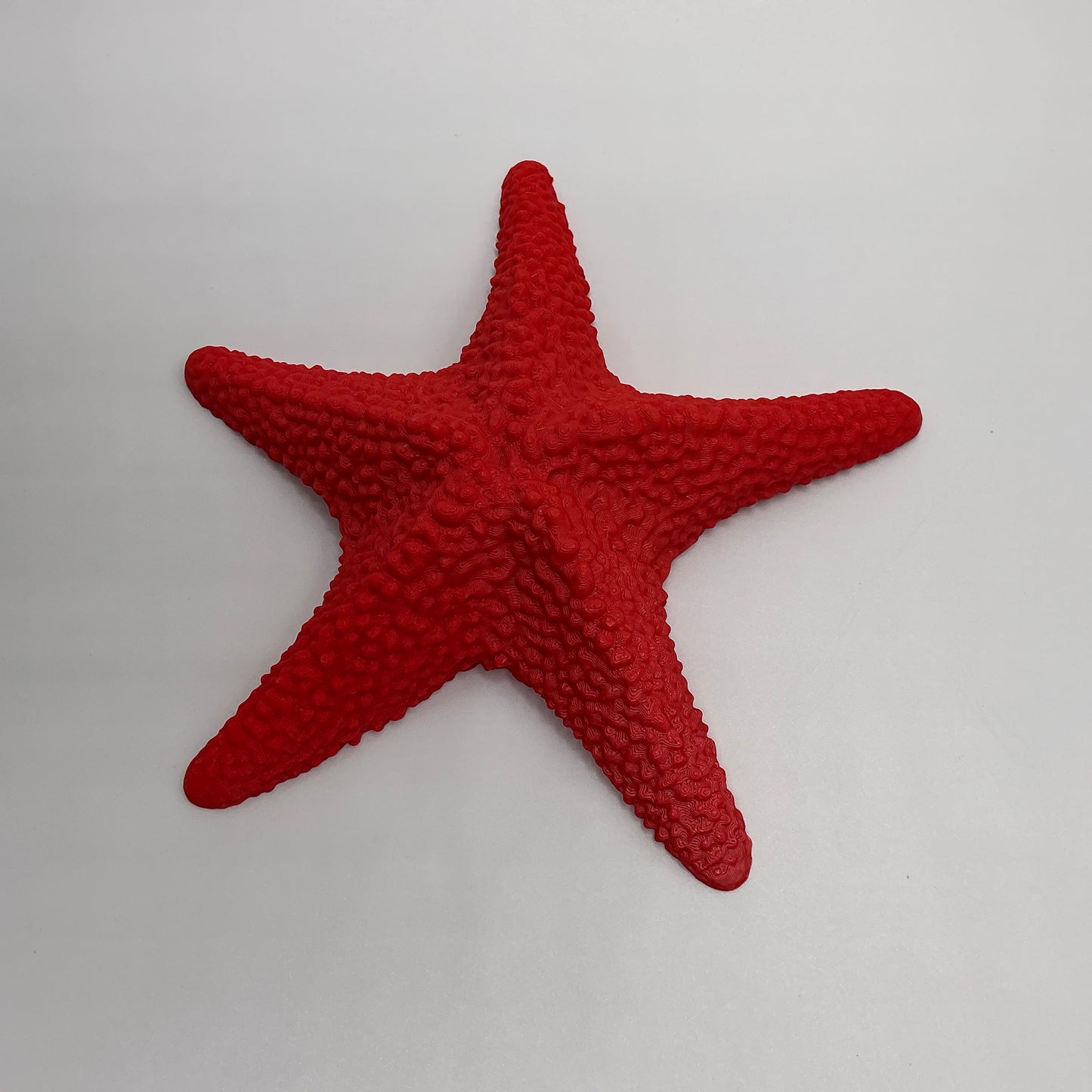 Starfish Floating Water Toy