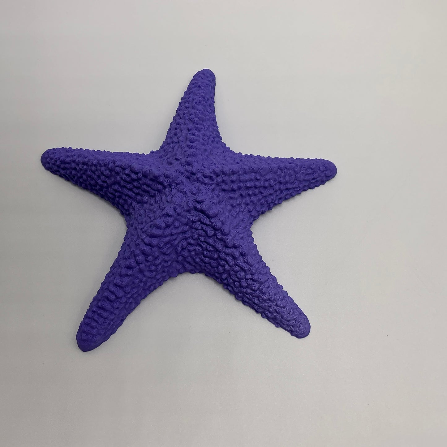 Starfish Floating Water Toy