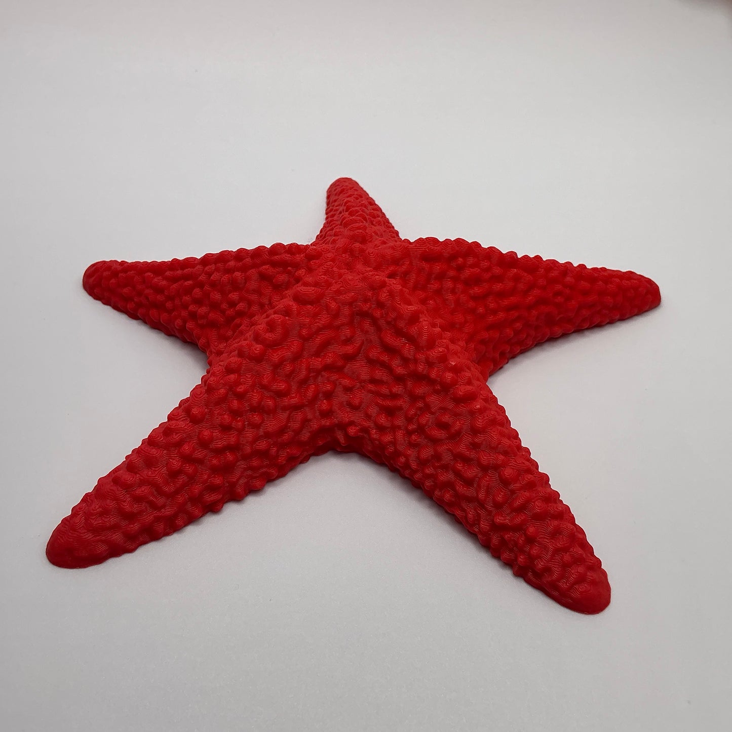 Starfish Floating Water Toy