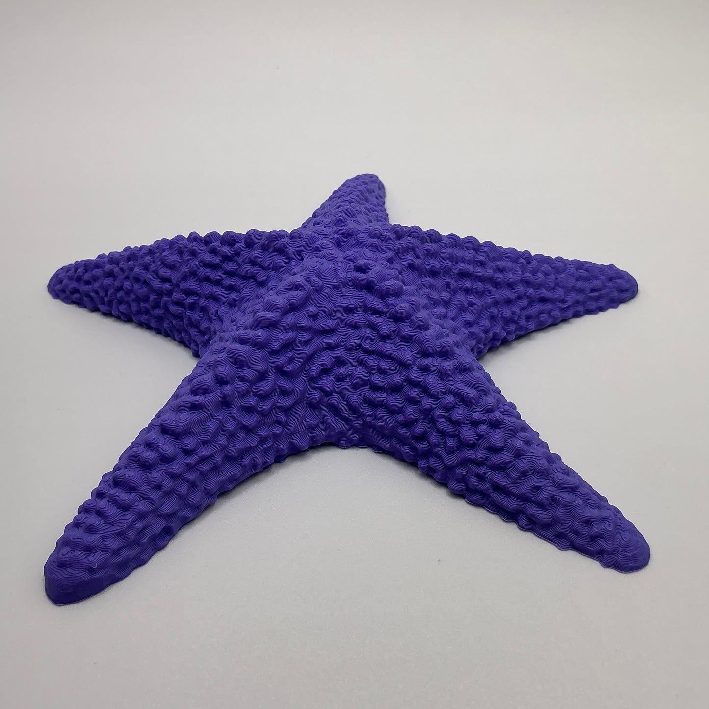 Starfish Floating Water Toy